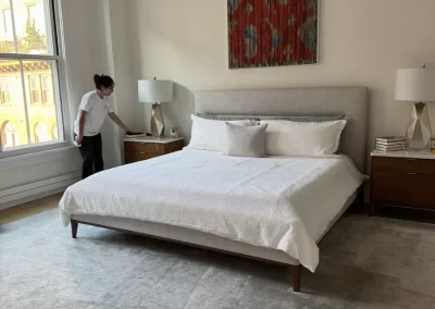 Premium Home Cleaning Services