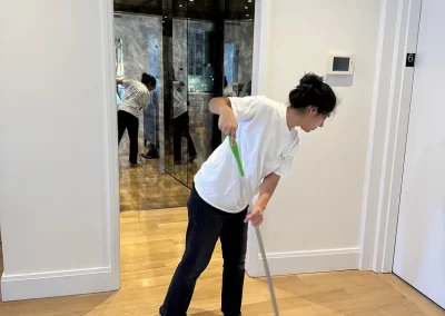 Professional Home Cleaning Services